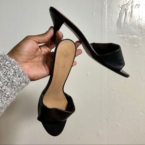 ALDO KITTEN 🐈‍⬛